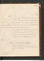 Seite 49, Tagebuch "Palästina (Tagebuch)" (NHMW-PRAE-BBB-80)
